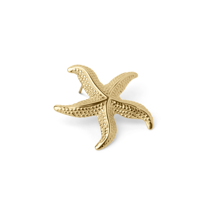 Briana - Curved Starfish Earrings